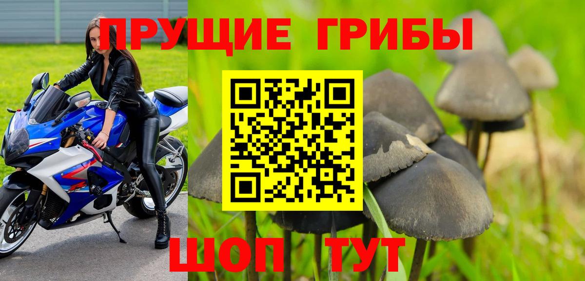 Псилоцибиновые грибы GOLDEN TEACHER  Вход с VPN  Донской 